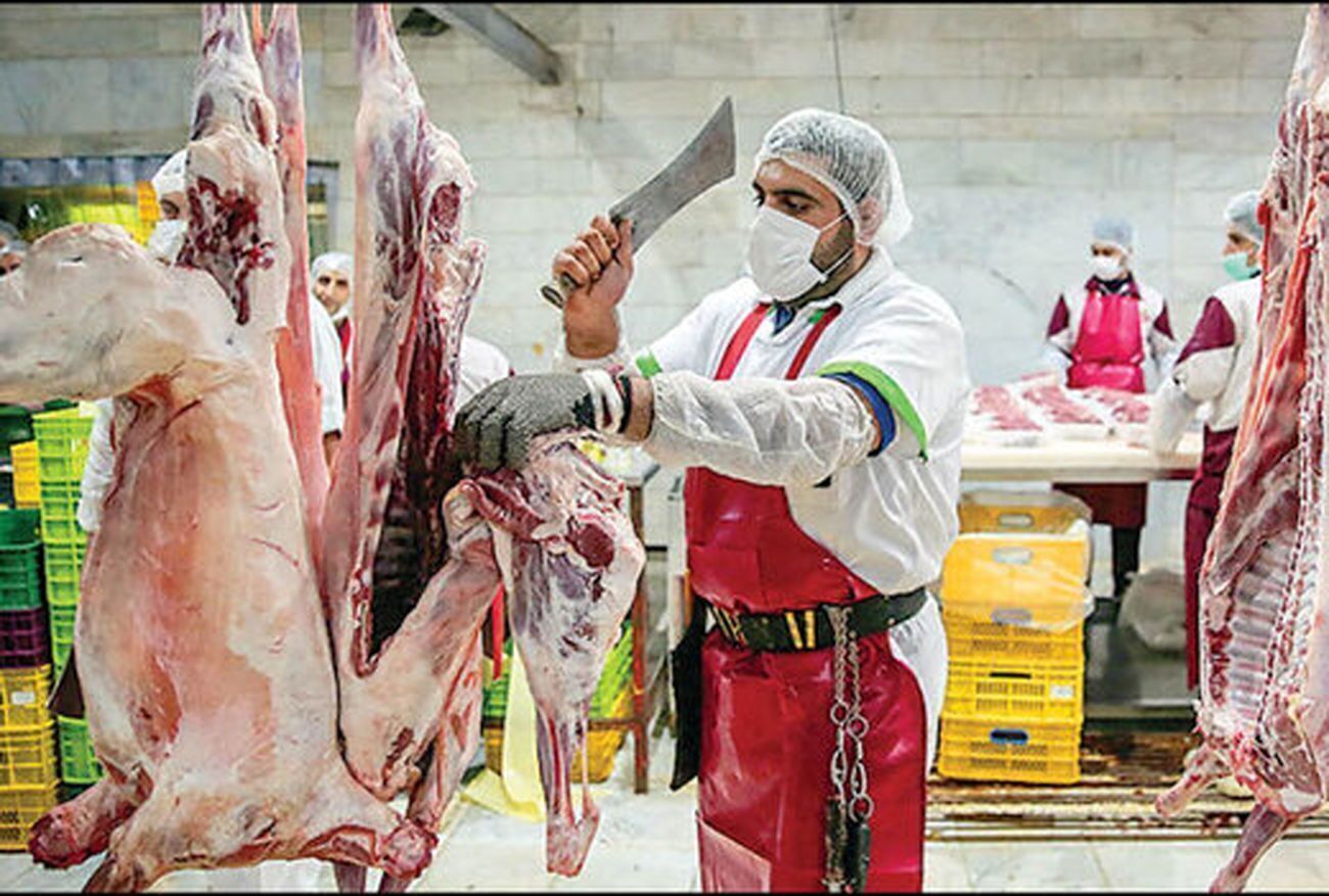 بازار گوشت متعادل است/نیاز ماهانه ۷۵۰ هزار راس دام در کشور