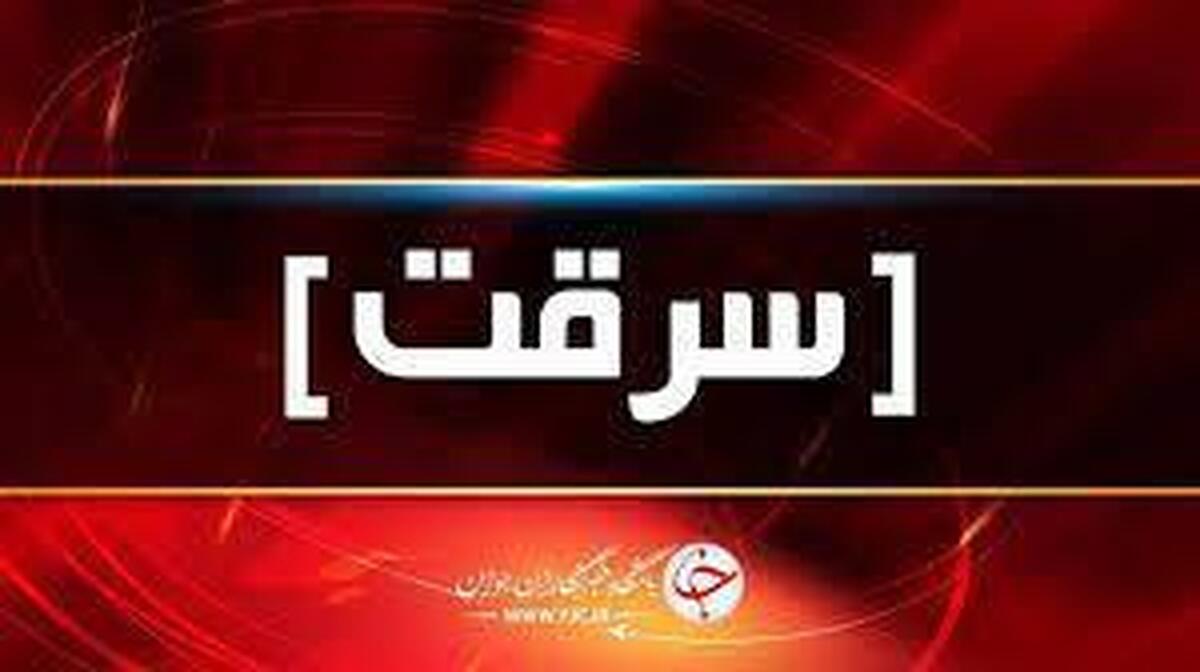 باشگاه خبرنگاران -کشف ۷ فقره سرقت در قاینات