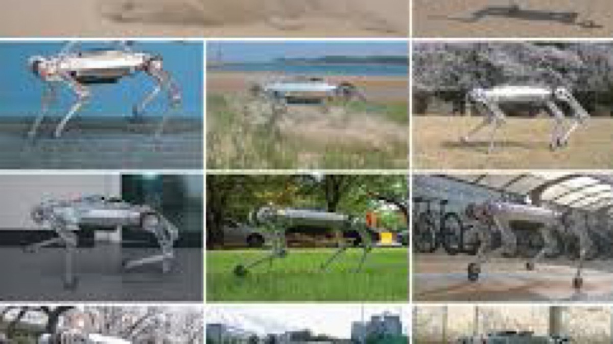 باشگاه خبرنگاران -توسعه سیستمی برای کنترل سگ رباتیک