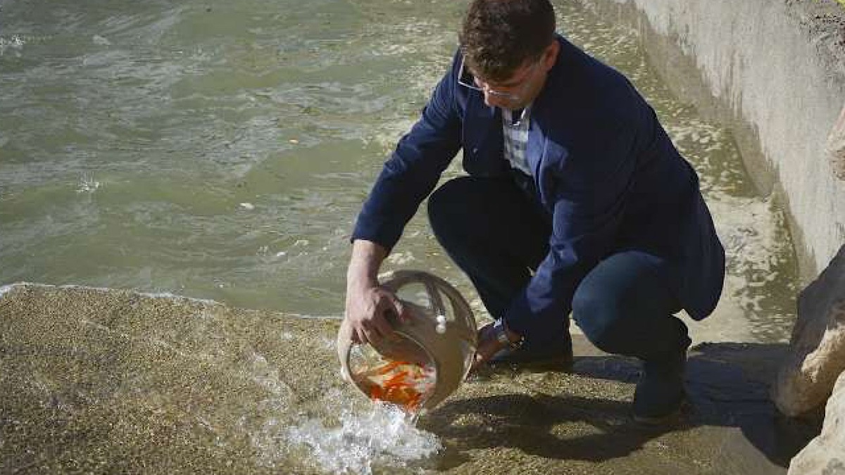 باشگاه خبرنگاران -ماهی‌های قرمز را در منابع آبی کشور رها نکنید