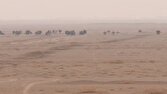 منطقه نواران قم در مسیر مقابله با ریزگردها