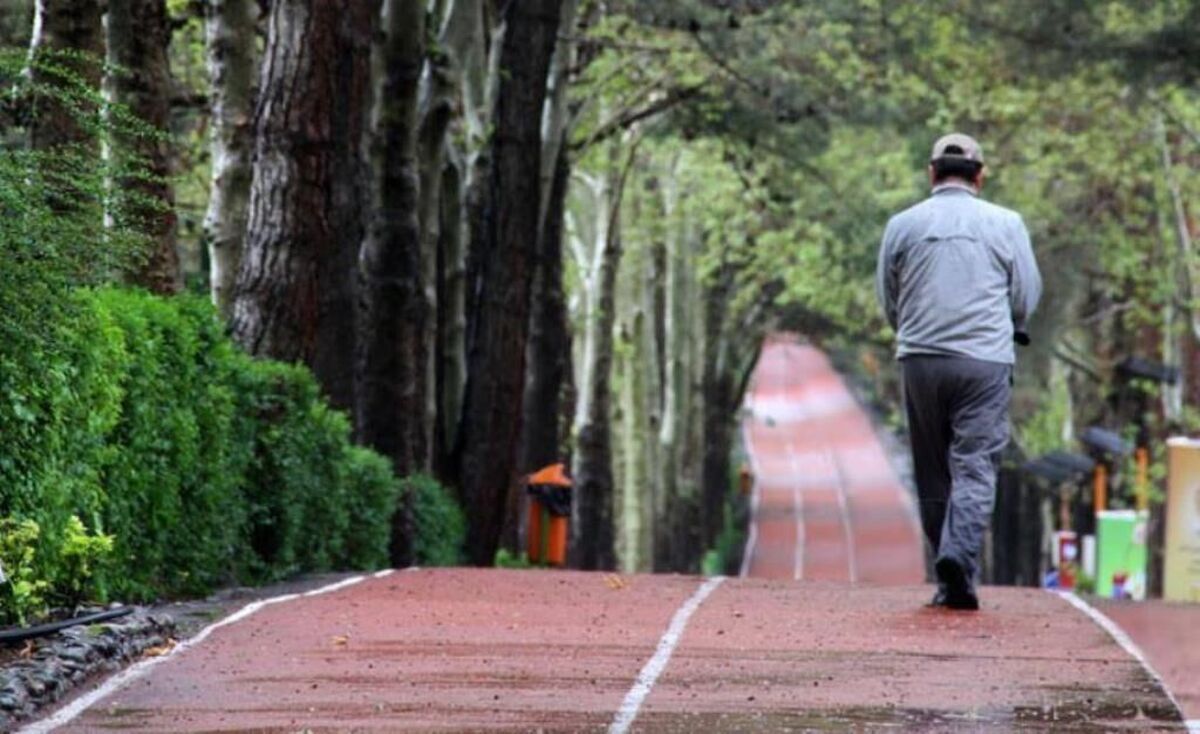 باشگاه خبرنگاران -بازگشایی مجموعه‌های ورزشی انقلاب، شیرودی و کشوری از فردا