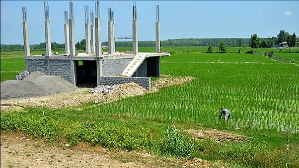 باشگاه خبرنگاران -تغییر کاربری‌های غیرمجاز اراضی کشاورزی را به ۱۳۱ اطلاع دهید