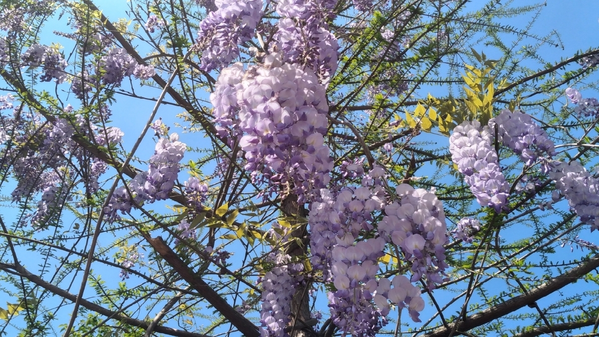 باشگاه خبرنگاران -تداوم وزش باد در گیلان/ کاهش نسبی دمای هوا