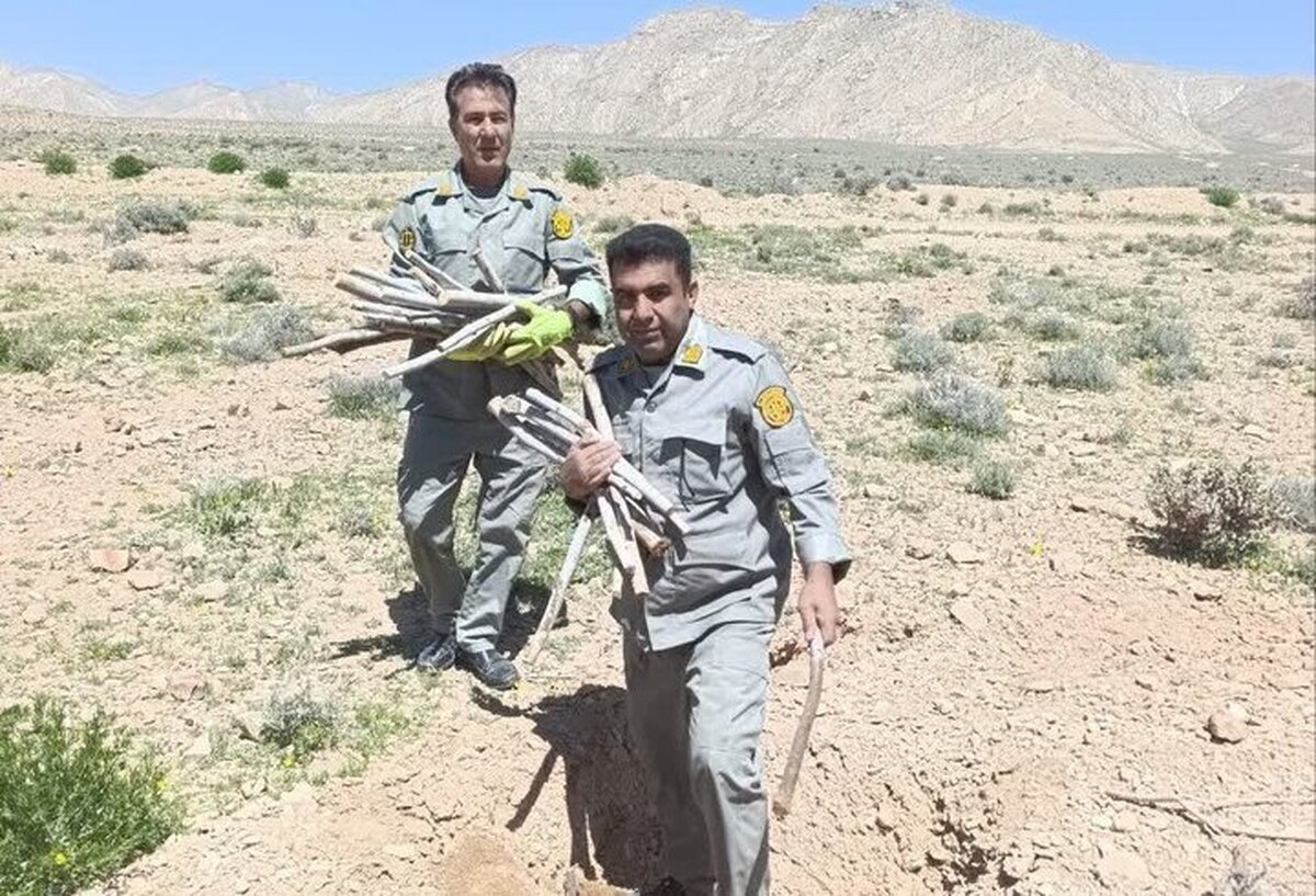 باشگاه خبرنگاران -رفع تصرف ۵ هکتار از پناهگاه حیات وحش بختگان