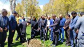 غرس ۷۵ اصله نهال بزرگداشت شهدای میناب + تصاویر