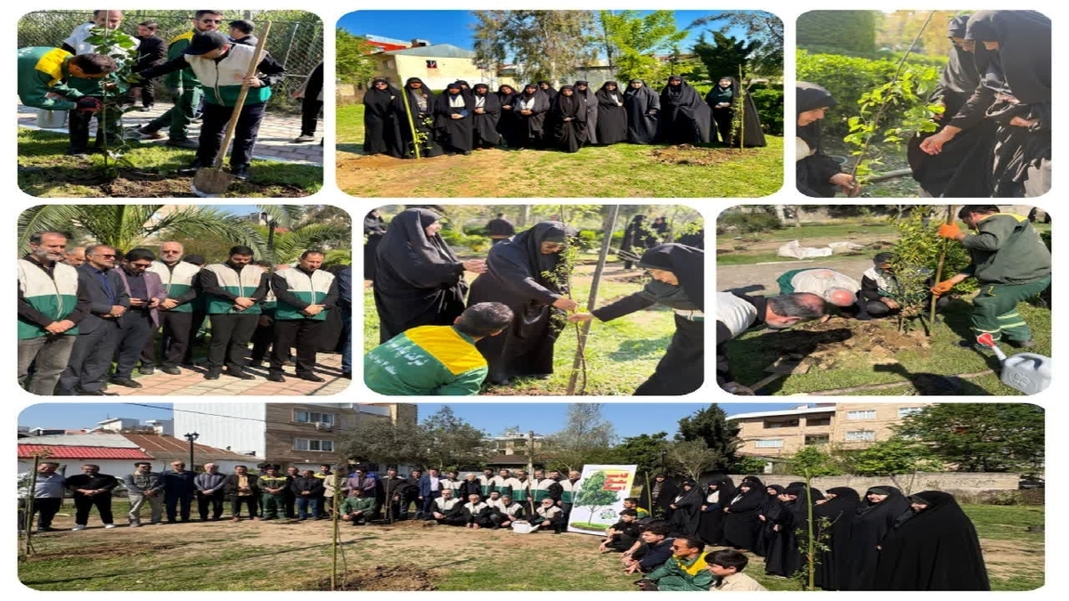 باشگاه خبرنگاران -کاشت ۸۸ اصله نهال مثمر در رشت به یاد رهبر شهید