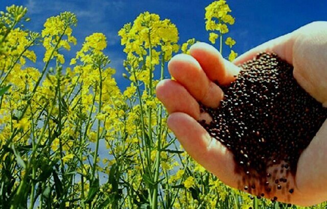 راهبرد‌های کلیدی مدیریت ناوگان برداشت غلات و کلزا
