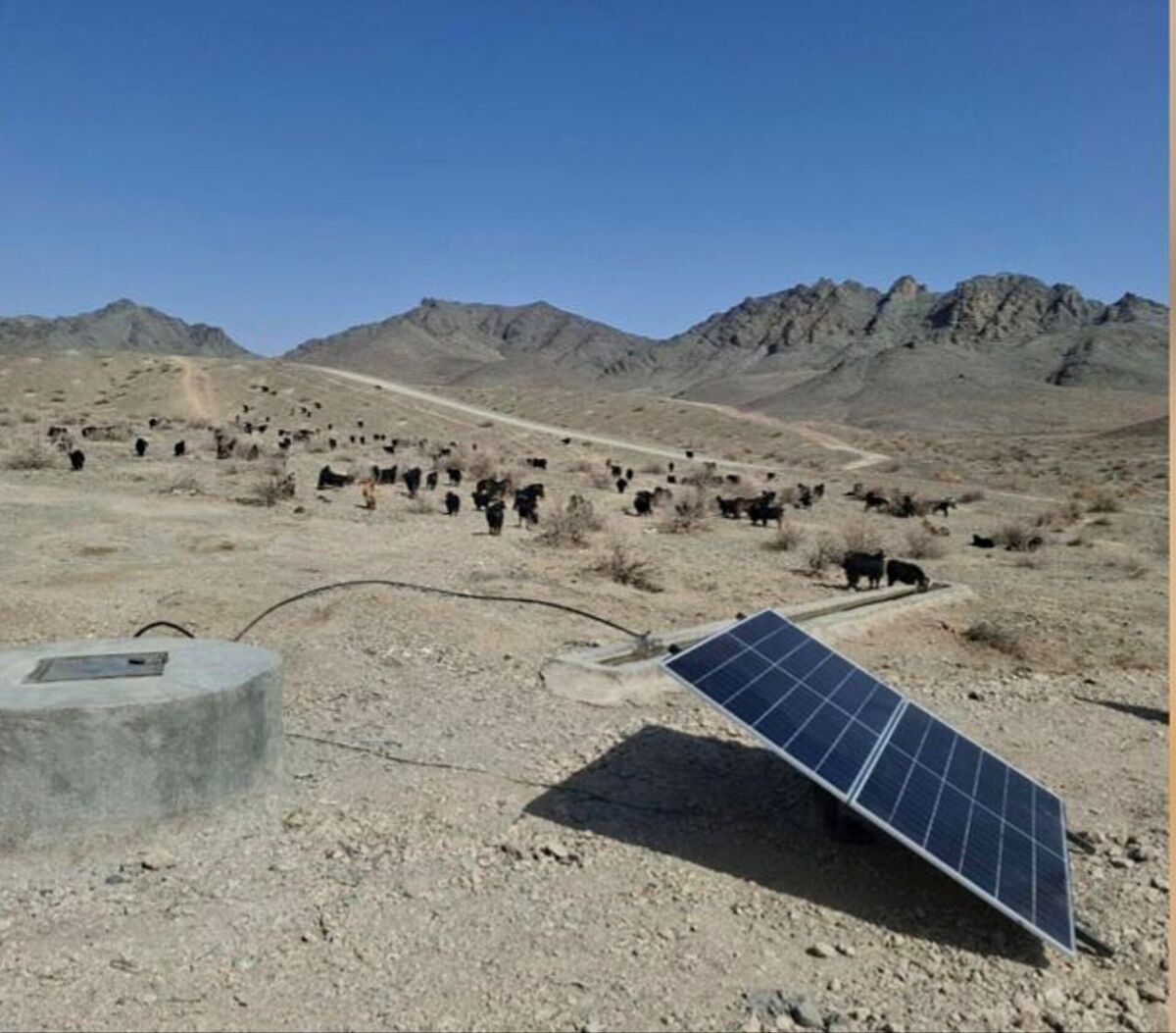 باشگاه خبرنگاران -تأمین آب شرب دام عشایر سیستان و بلوچستان با انرژی خورشیدی