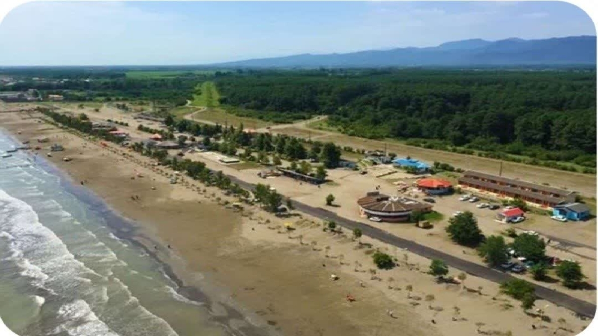 باشگاه خبرنگاران -درختکاری در ۸۲ هکتار از سواحل گیلان