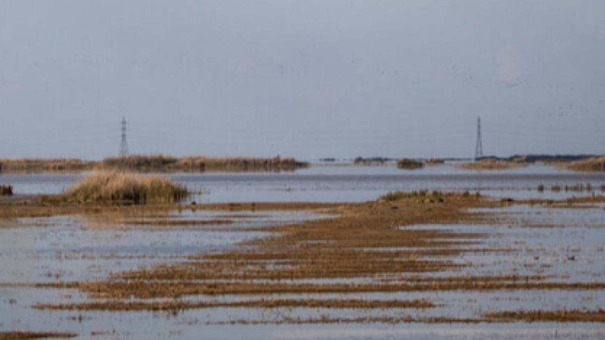 باشگاه خبرنگاران -لزوم استمرار ورود آب به هورالعظیم برای جلوگیری از آتش سوزی