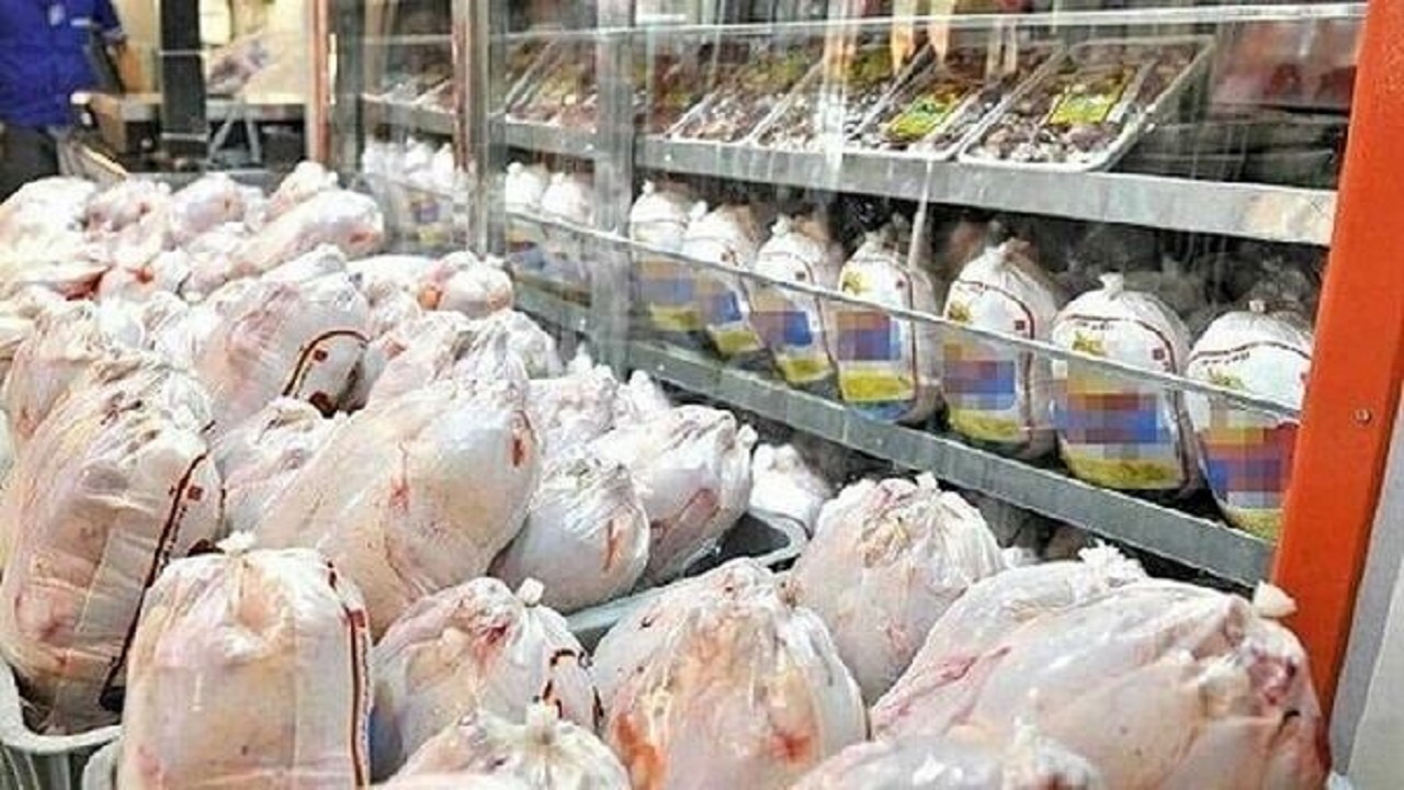 توزیع بیش از ۱۶۵ تن گوشت مرغ در مازندران