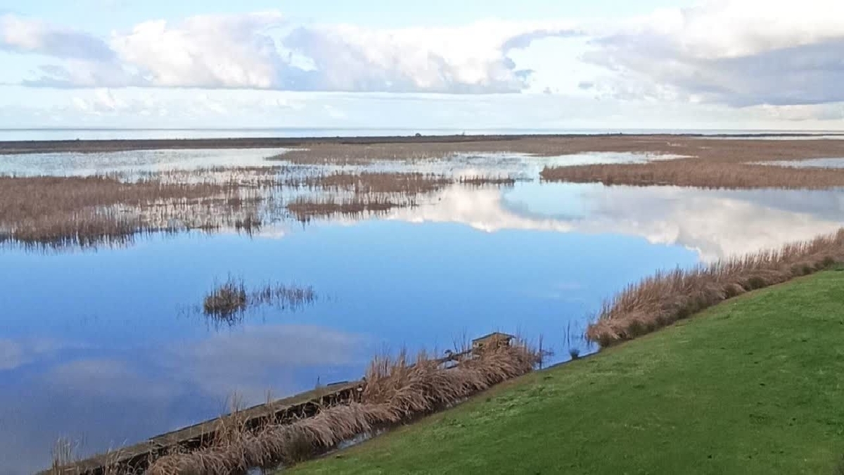 باشگاه خبرنگاران -اتمام عملیات احیای تالاب بین‌المللی بوجاق