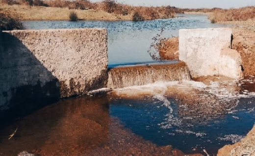 اتمام عملیات احیای تالاب بین&zwnj;المللی بوجاق