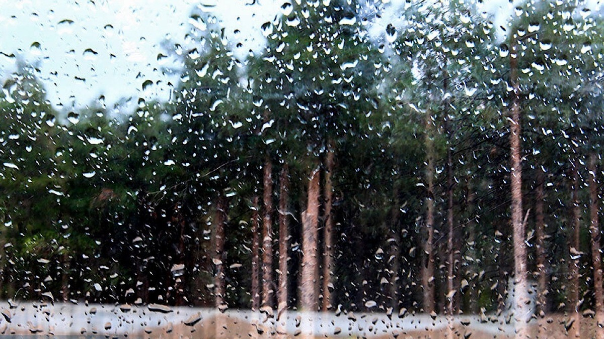 باشگاه خبرنگاران -بارش‌های اخیر و پرشدگی حدود ۵۰ درصدی سدها/ زنگ خطر کم‌آبی هنوز خاموش نشده است