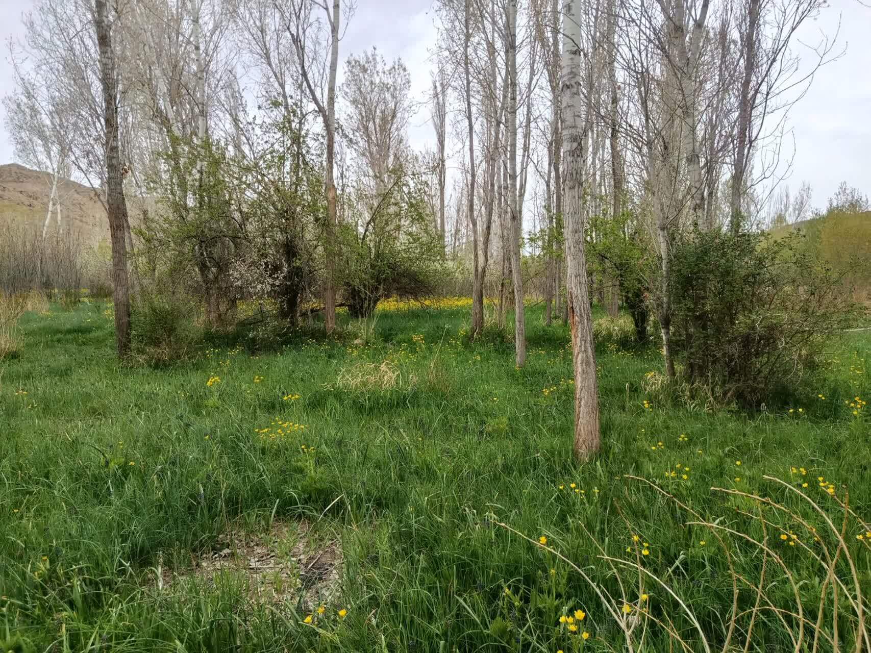 سفر بهاره به روستای گردشگری توآباد