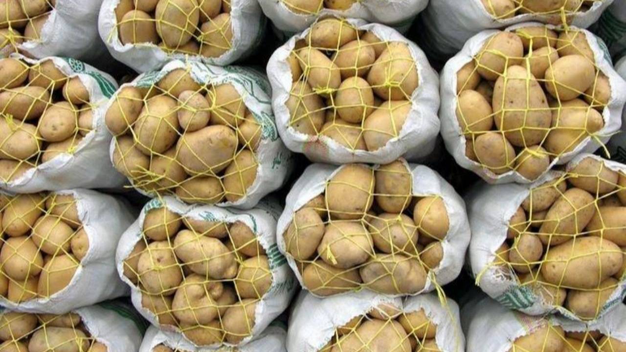 محموله کلان سیب زمینی در مرز مریوان توقیف شد