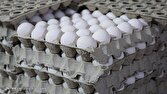 اجازه افزایش قیمت نامتعارف مرغ، تخم‌مرغ و لبنیات در تهران داده نمی‌شود