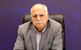 اصناف زیر فشار هزینه‌ها هستند/شیراز الگوی ملی ساماندهی صنوف مزاحم