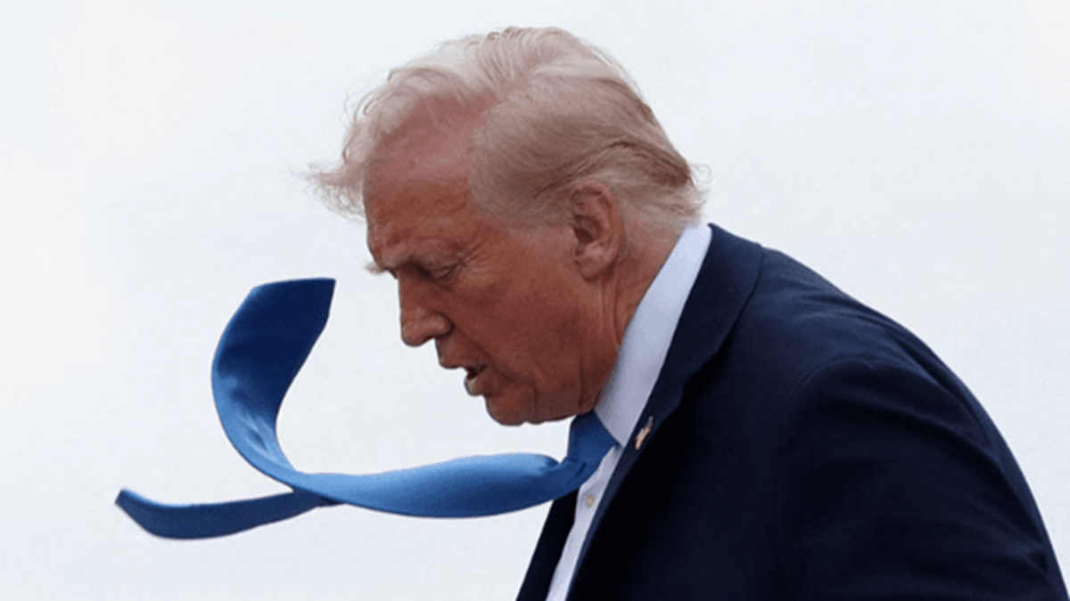 باشگاه خبرنگاران -شکست فاحش ترامپ؛ گربه‌ای که می‌خواهد خود را شیر نشان دهد