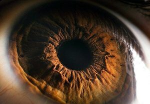 اهدای ۱۹۵ قرنیه چشم به بیماران نیازمند با پیگیری اهدای عضو