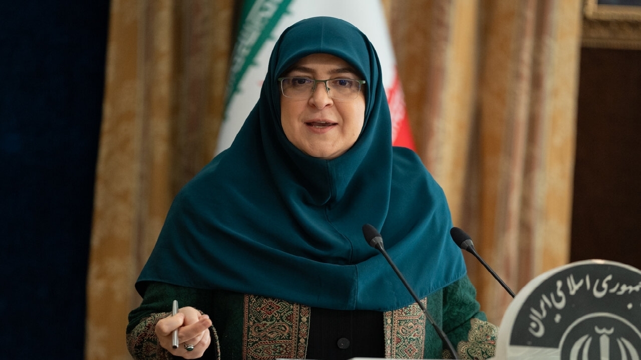 سخنگوی دولت: اینترنت حق رسمی مردم است