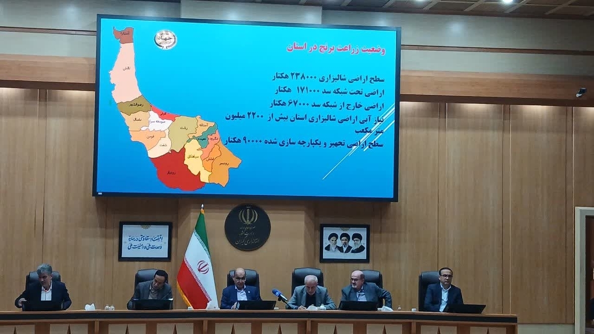 باشگاه خبرنگاران -بررسی چالش‌های کشاورزی در گیلان / از آبیاری تا تولید