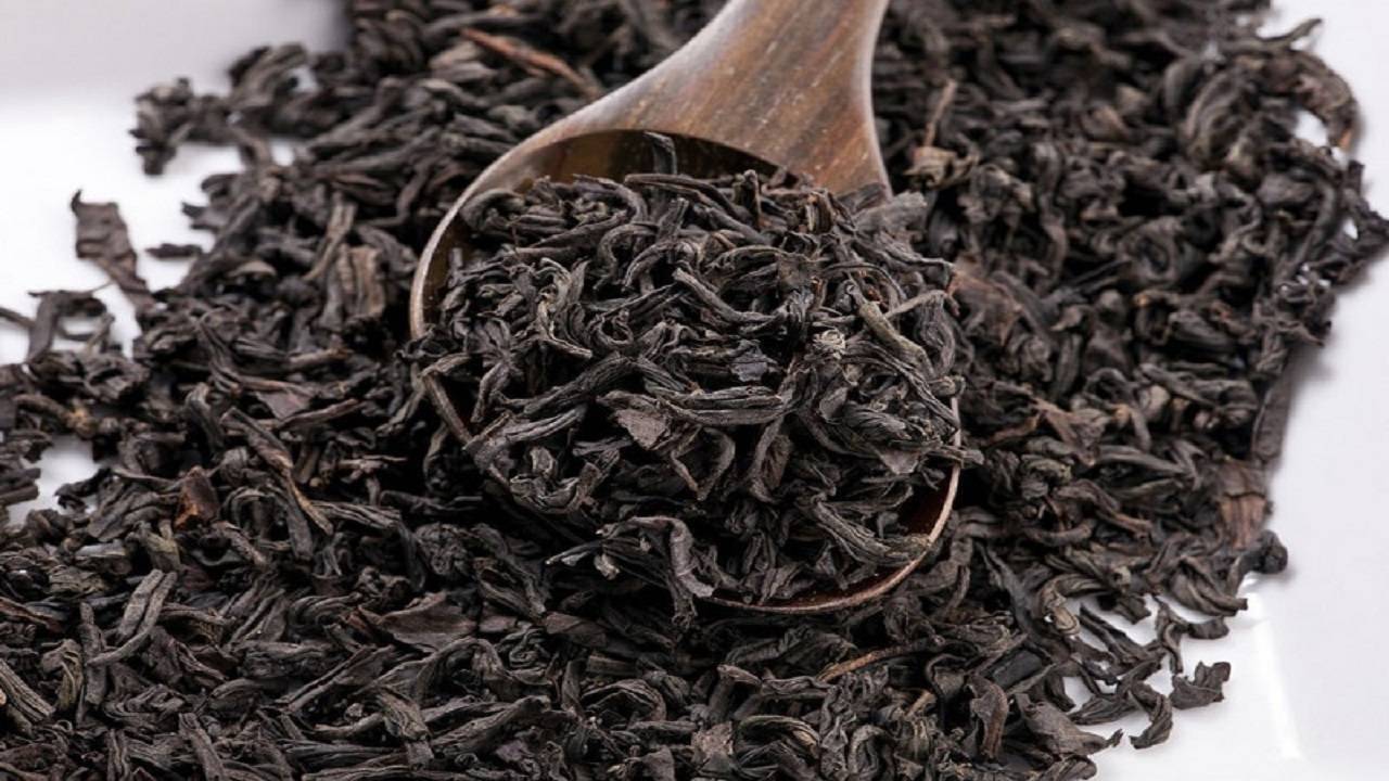 تولید بیش از ۹ هزار تن چای خشک در کشور