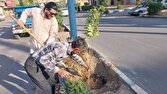 باشگاه خبرنگاران -نهضت کاشت درختان مثمر در بهبهان؛ گامی بلند برای توسعه پایدار و افزایش سرانه فضای سبز