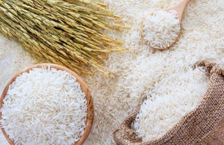 بازار برنج در مسیر آرامش/ضرورت واردات ماهانه ۱۲۰ هزار تن برنج به کشور