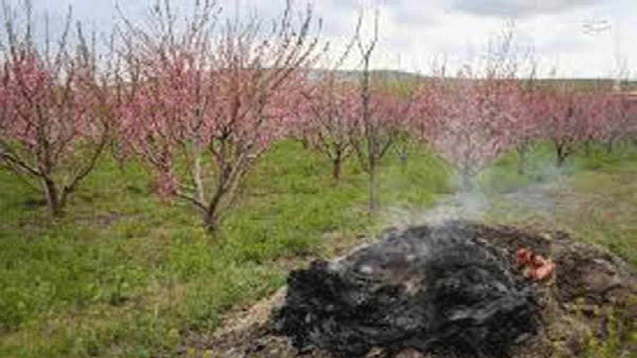 کاهش چشمگیر خسارات سرمازدگی در باغات آذربایجان‌غربی با اطلاع‌رسانی هدفمند و ترویج فناوری های نوین 

 