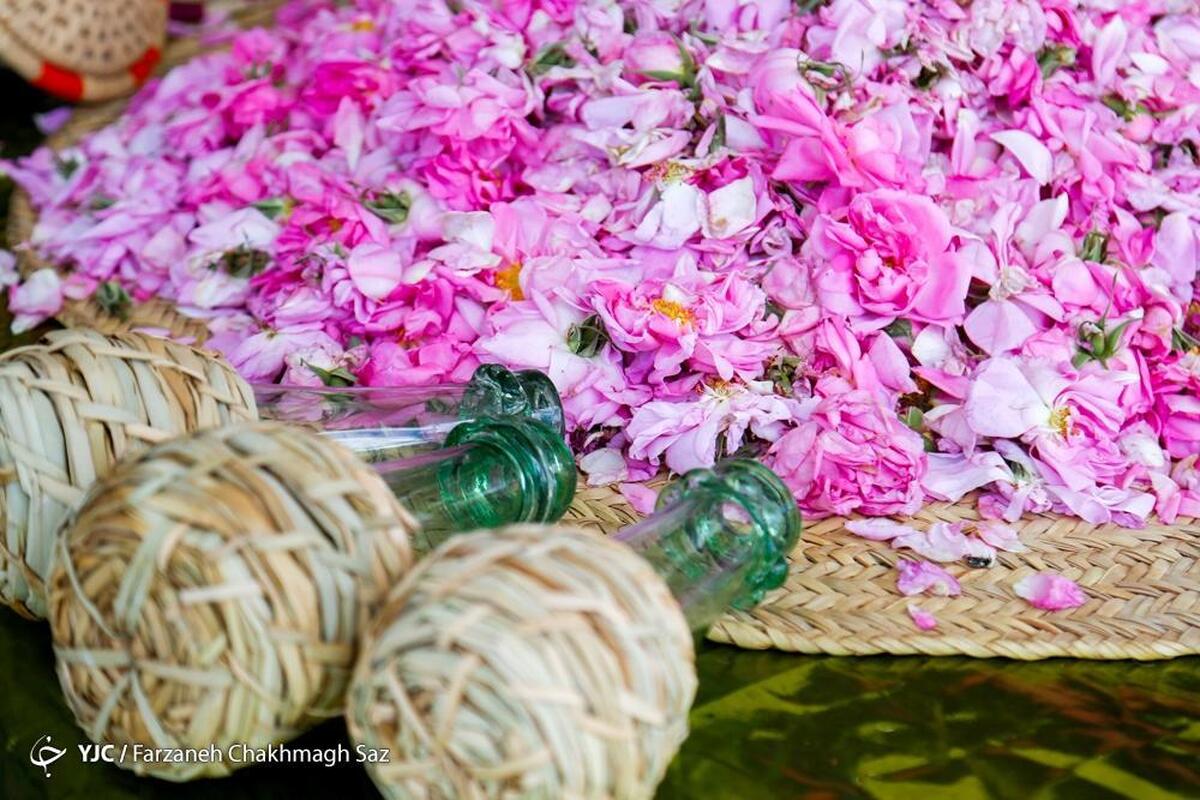 باشگاه خبرنگاران -میمند در اردیبهشت؛ از سرزمین گل و گلاب تا قطب گردشگری فارس