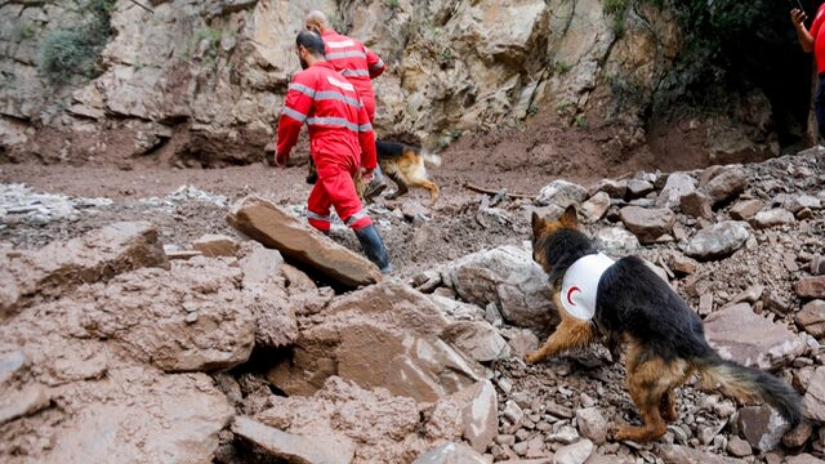 باشگاه خبرنگاران -امدادرسانی هلال‌احمر به بیش از ۴۰۰ حادثه‌دیده طی ۷۲ ساعت گذشته