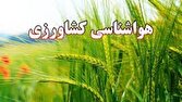 ضرورت مبارزه با زنگ گندم در نوار غلات کشور