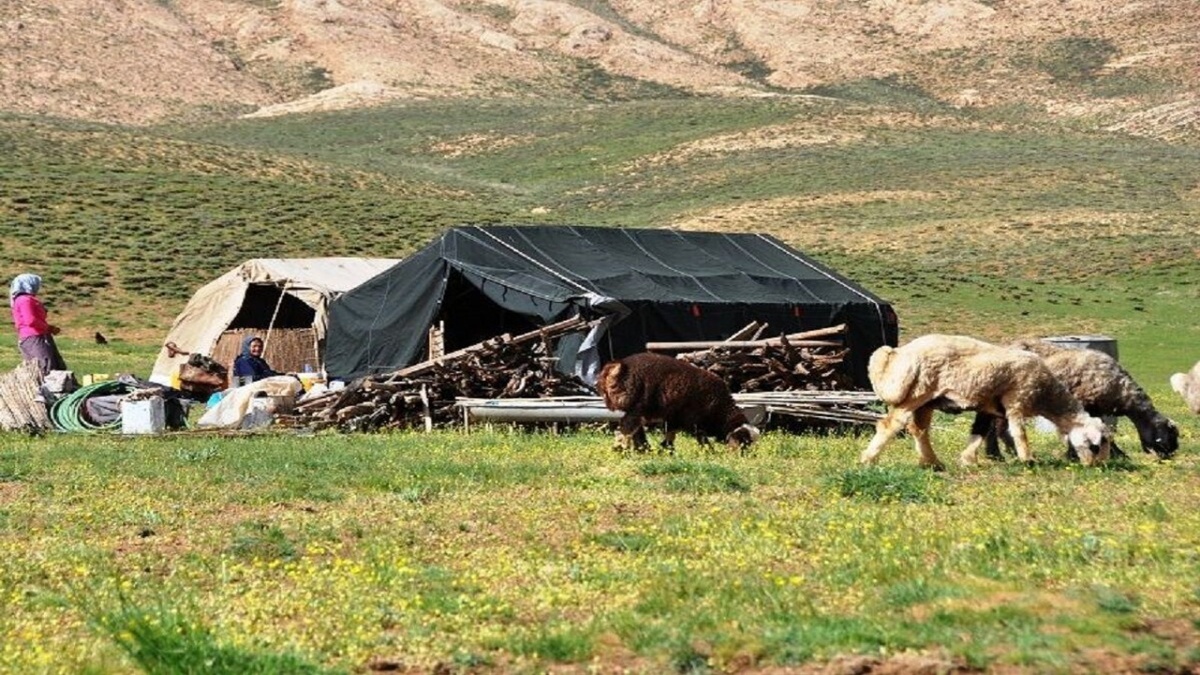 باشگاه خبرنگاران -رایزنی برای افزایش ۲ برابری تسهیلات اشتغالزایی عشایر آذربایجان غربی در سال جاری