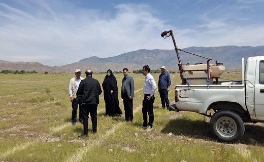 مبارزه با ملخ مراکشی در ۴ شهرستان گیلان