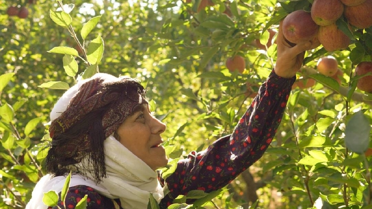 باشگاه خبرنگاران -آغاز پخش سریال «مادران» از جمعه ۱۱ اردیبهشت در شبکه یک سیما