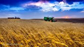 خرید تضمینی گندم به بیش از ۳۰۰ هزارتن رسید