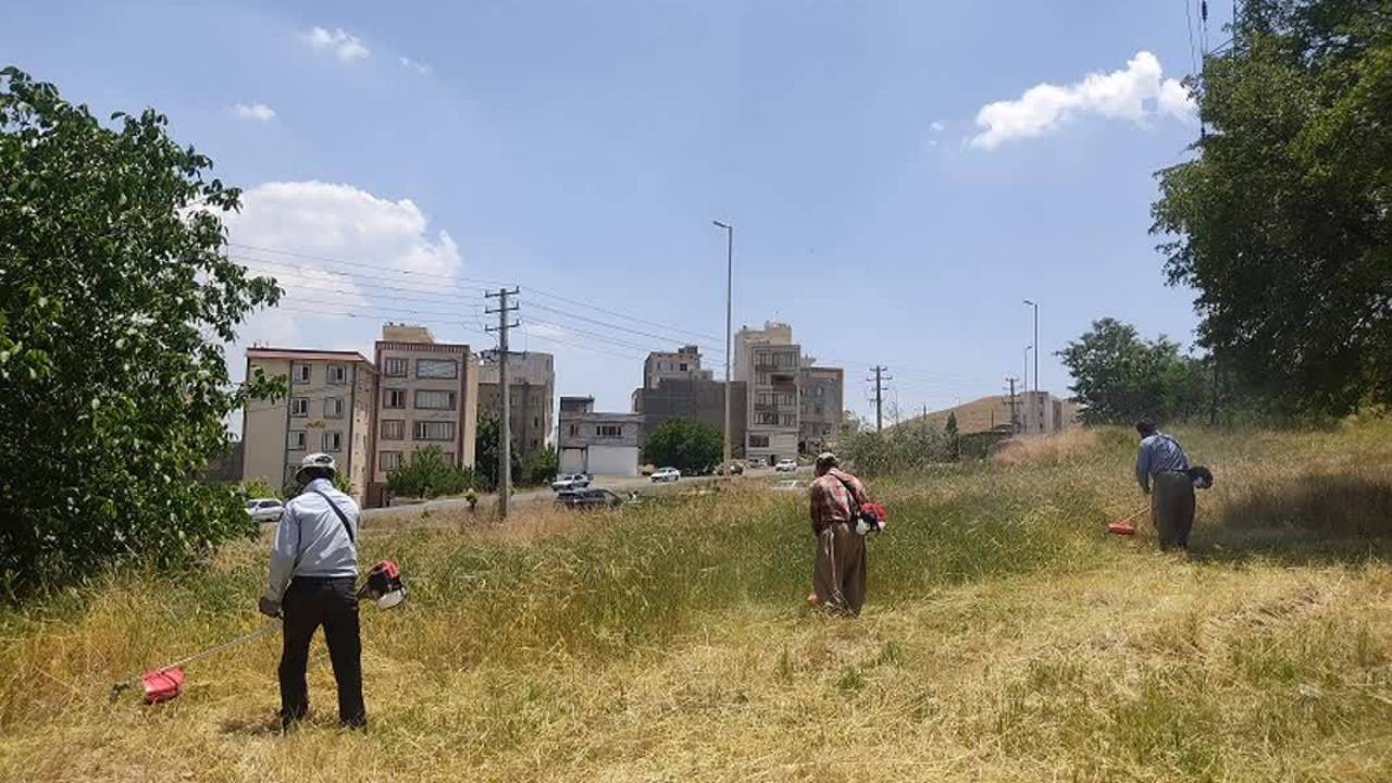 عملیات گسترده پیشگیری از آتش‌سوزی در ۱۸۰ هکتار از پارک‌های جنگلی سنندج آغاز شد
