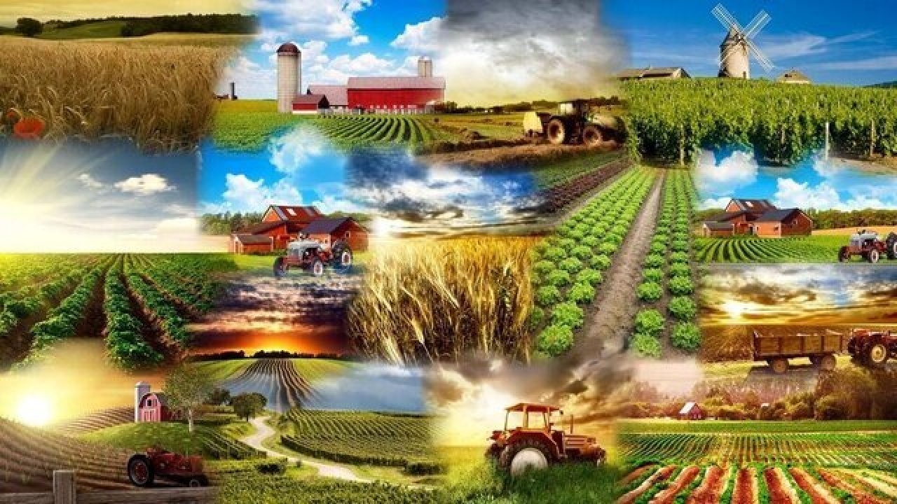 چگونه در غیاب باران، حیات را مدیریت کنیم؟