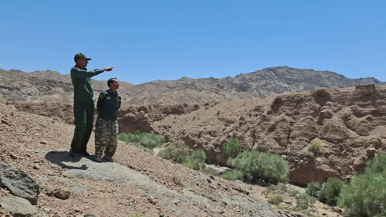 آغاز طرح ملی ماکان در یزد
