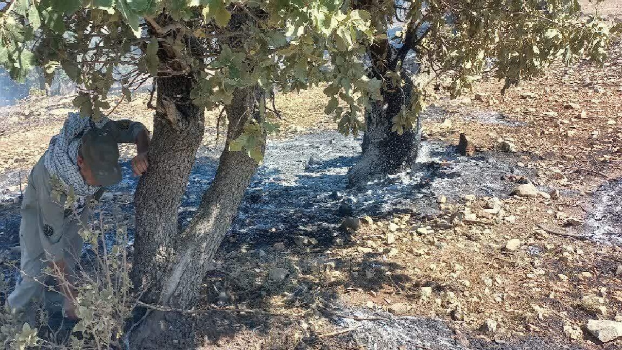 مهار آتش‌سوزی در منطقه حفاظت‌شده «مانشت و «قلارنگ» در ایلام