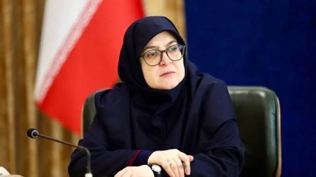 سخنگوی دولت: میدان و دیپلماسی در کنار هم از ایران دفاع می‌کنند