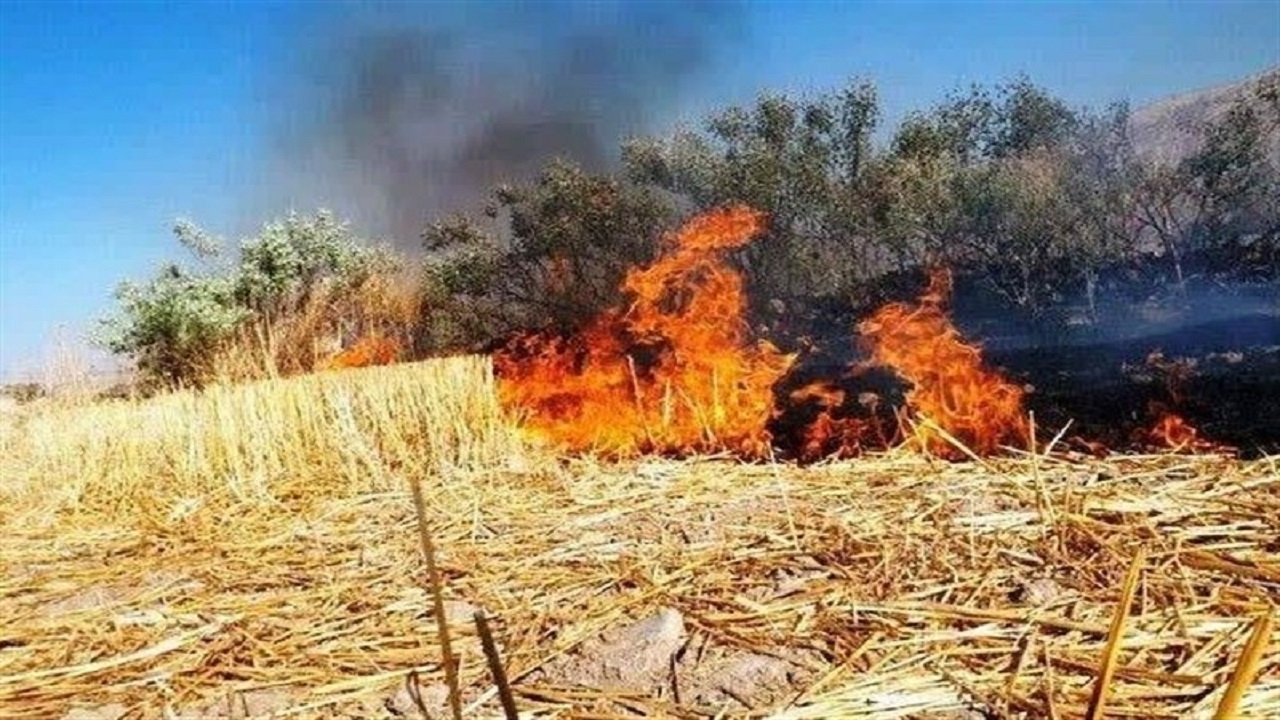 تشکیل پرونده قضائی برای متخلفان زیست محیطی در پارس آباد