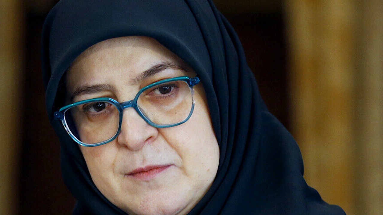 مهاجرانی: دولت به دنبال کاهش فشار ناترازی انرژی بر واحد‌های تولیدی است