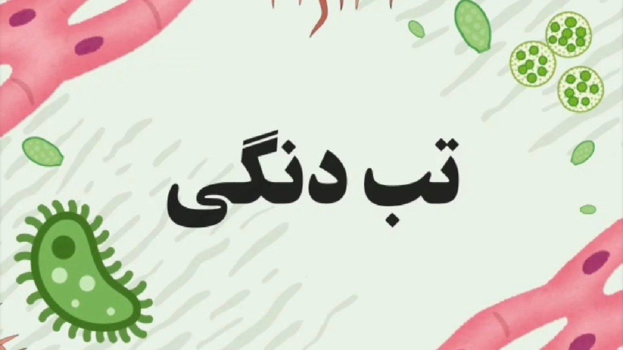 تب دنگی؛ نیش پشه‌ها را جدی بگیریم + فیلم