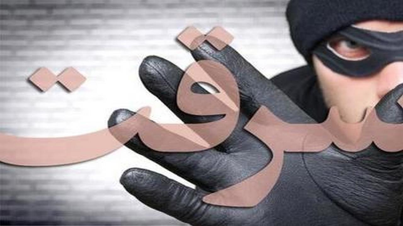 کاهش ۷ درصدی سرقت در البرز در برابر افزایش ۳۱ درصدی کشوری