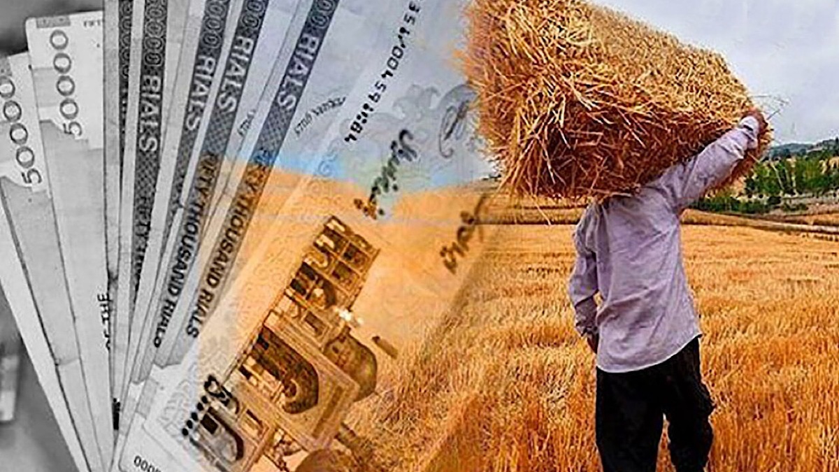 باشگاه خبرنگاران -۱۲.۲ همت به حساب کشاورزان واریز شد