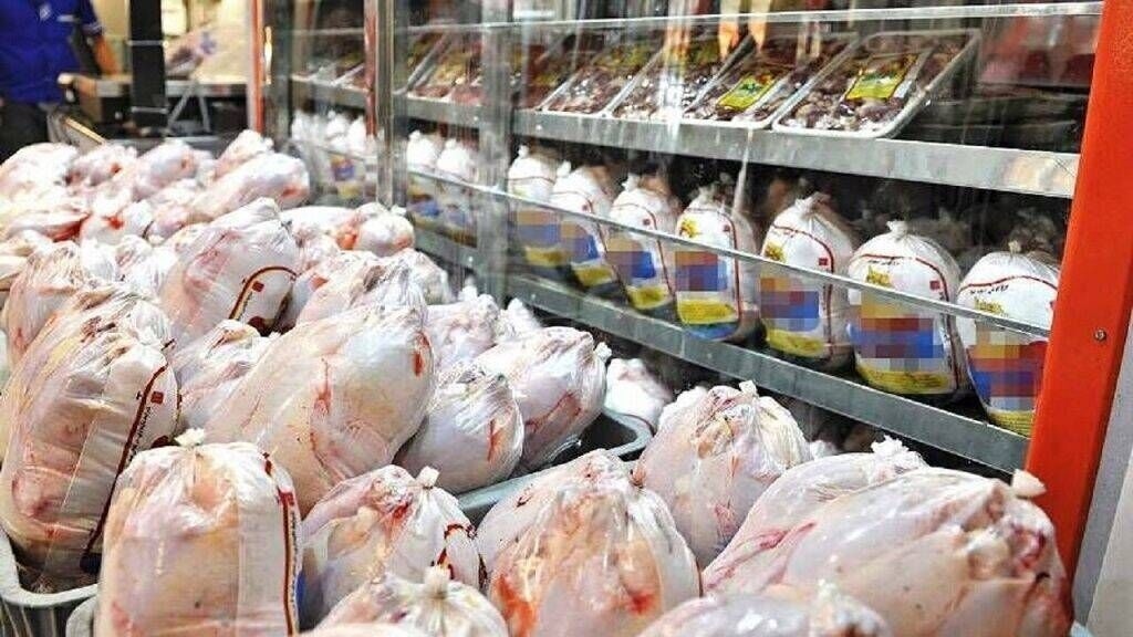 هرمزگان صادرکننده گوشت سفید شد