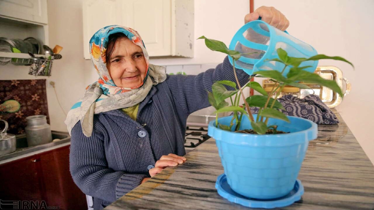 سالمندان و تابستان؛ سرگرمی‌های سالم، سبک و ایمن